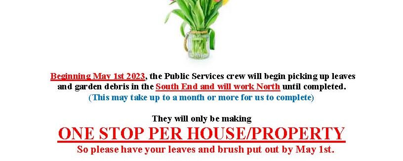 SPRING CLEAN UP 2023